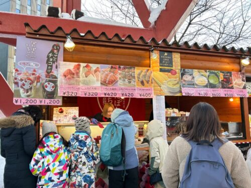 さっぽろ雪まつり17