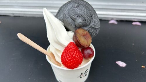 ライラック祭り14