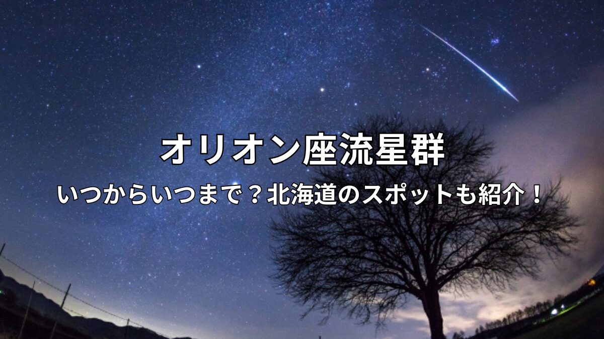 オリオン座流星群のアイキャッチ画像