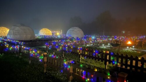 鹿の郷の夜