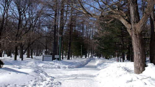 丸山公園