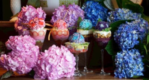 パフェテリアミル(引用:株式会社GAKU)