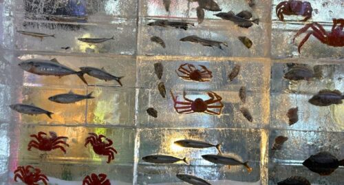 さっぽろ雪まつり4